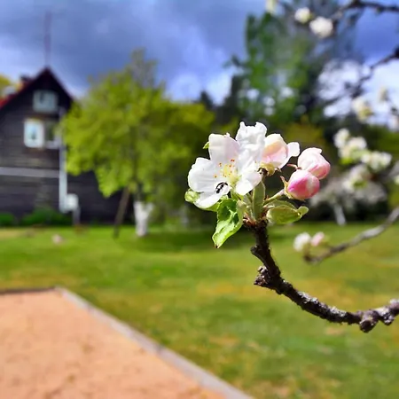 In The Forest, Private Garden, Sauna