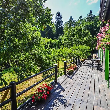 Comfortable In The Middle Of A Forest, Stolpie Villa