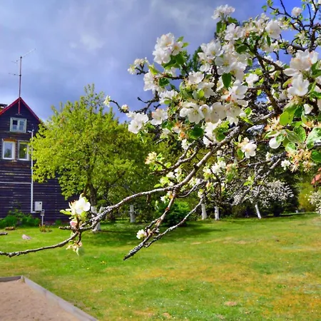 Вилла In The Forest, Private Garden, Sauna
