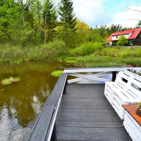 Comfortable In The Middle Of A Forest, Stolpie Villa
