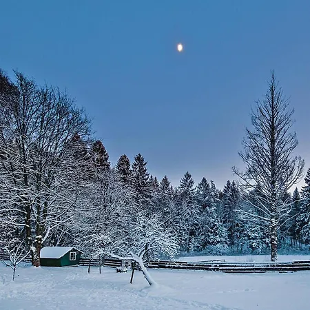 Comfortable In The Middle Of A Forest, Stolpie * Powidz (Koszalin)