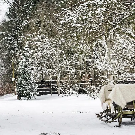 In The Forest, Private Garden, Sauna